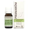 Frankincense 0.3 fl oz (10 ml) Pranarom Essential Oil