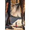 Carr & Day & Martin Canter Mane & Tail Conditioner 500ml