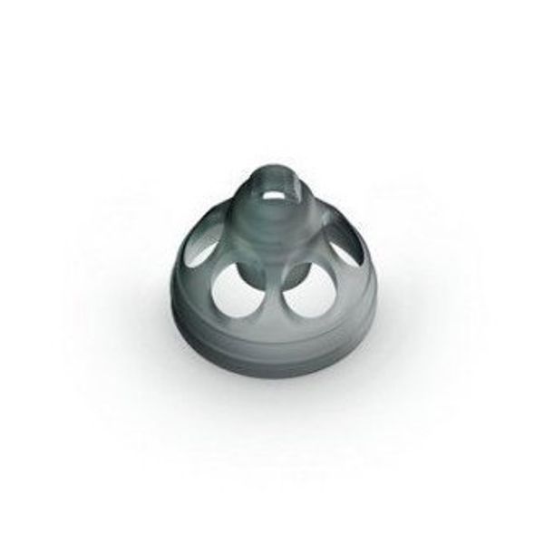 Large Open Phonak Audeo Domes