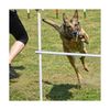 Shappy 4 Pieces Dog Agility Equipment with Adjustable Height Jump Bars Adjust...