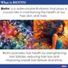 Difeel Elevated Biotin Pro-Growth Leave in Conditioning Spray 8 oz.