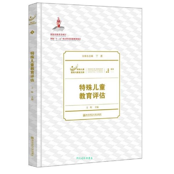 特殊儿童教育与康复文库 特殊儿童教育评估 丁勇、王辉【正版书】