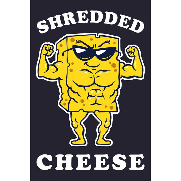 Shredded Cheese Funny Cool Wall Decor Art Print Poster 12x18