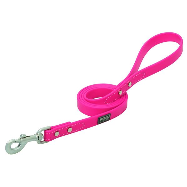 Terrain D.O.G. Brahma Webb Dog Leash, 4', Hot Pink