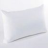 Willco Direct Willows Direct Customised Hollowfibre Rectangle Oblong Cushion Pads Insert Inner Scatter Pillow (22", 30")