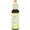 Bach, Bach Original Flower Remedies White Chestnut, 0.68 Fl Oz