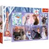 Trefl 14345 Anna und Elsa Puzzle, Multicoloured