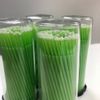 400 (4 Kegs) Green Micro Brush Eye Lash Tools, Regular Tips, Eyelash Disposable
