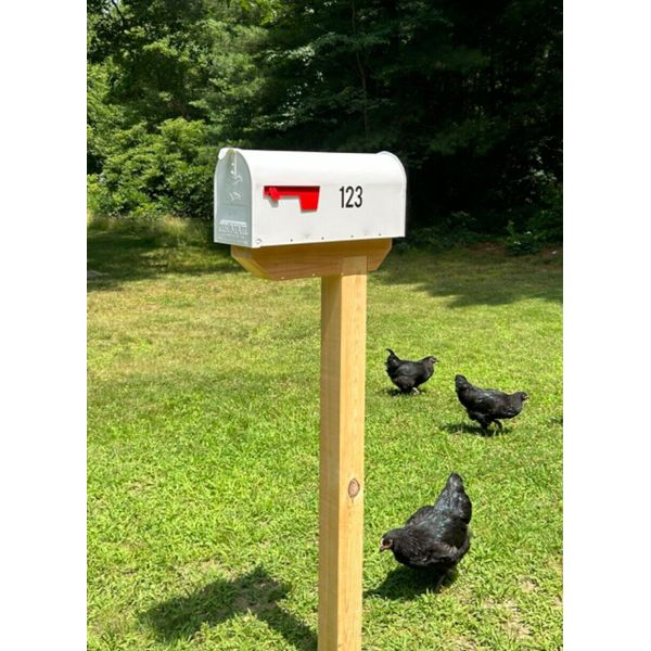 Premium Cedar Mailbox Post made from quality wood. Free Shipping