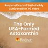 Hawaiian Astaxanthin 120 Count Super Antioxidant Immune Support Supplement