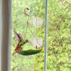 Veemoon Suction Cup Window Mount Hook for Hummingbird Feeder - Durable Feeder Hanger