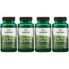 Swanson Leg Vein Essentials - Delayed Release - 60 Veg Capsules (4 Pack)