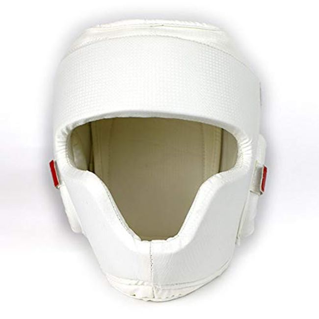 ISAMI Wide View Head Guard II TT-45 (S)