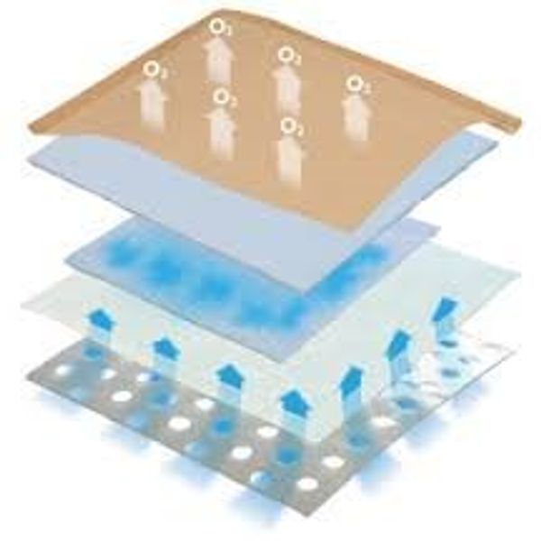 Eclypse Super Absorbent dressings 10cm X 10cm (x20)
