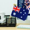 TSMD Australia Stick Flag Australian Small Mini Hand Held Flags,5x8 Inch,12 Pack