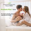 Prostate Plus+ - Prostate Support | 120 Capsues - Good Health Naturally