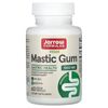 Mastic Gum, 60 Veggie Capsules (500 mg per Capsule)
