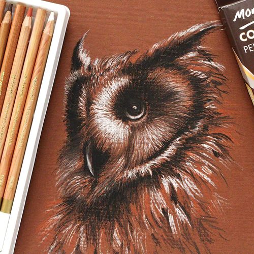 MONT MARTE Coloured Charcoal Pencil Set – 12pce - Charcoal Pencils for Art - Drawing Pens, Artist Pens - Ideal for impressive drawings - Perfect for Beginners, Professionals and Adults