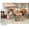 UltraCruz Equine Conditioner for Horses, 32 oz