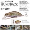 Megabus GH46 HUMPBACK (FS) Takumi Yamame