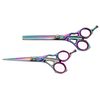 Body Toolz Titanium Shear & Thinner Set