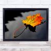 Fingerprint Designs Leaf Autumn Fall Seasons Maple Wall Art Print