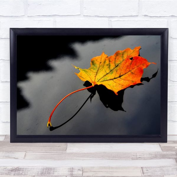 Fingerprint Designs Leaf Autumn Fall Seasons Maple Wall Art Print