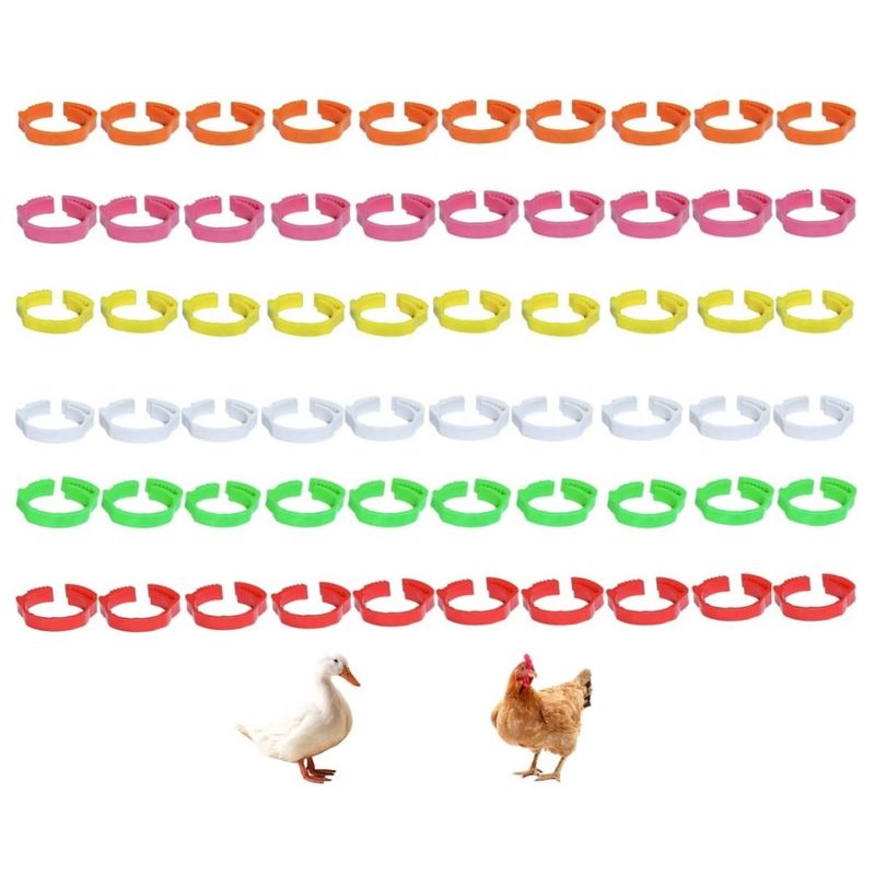 60 Stück Geflügel-Beimringe – Kunststoff, Verstellbar 14–22 Mm, Zum Markieren Von Hühnern, Enten, Gänsen & Tauben