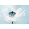 Posterazzi PDXXI469ALARGE Artwork, Large, Multi