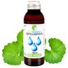 Centella Asiatica oil 50 ml - Known also as Gotu kola oil, acts as an anti-aging, toning, firming, conditioning and restorative agent, has collagen stimulating properties