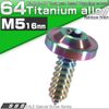 64 Titanium M5 16mm Torx Flanged Rainbow Tapping Screws