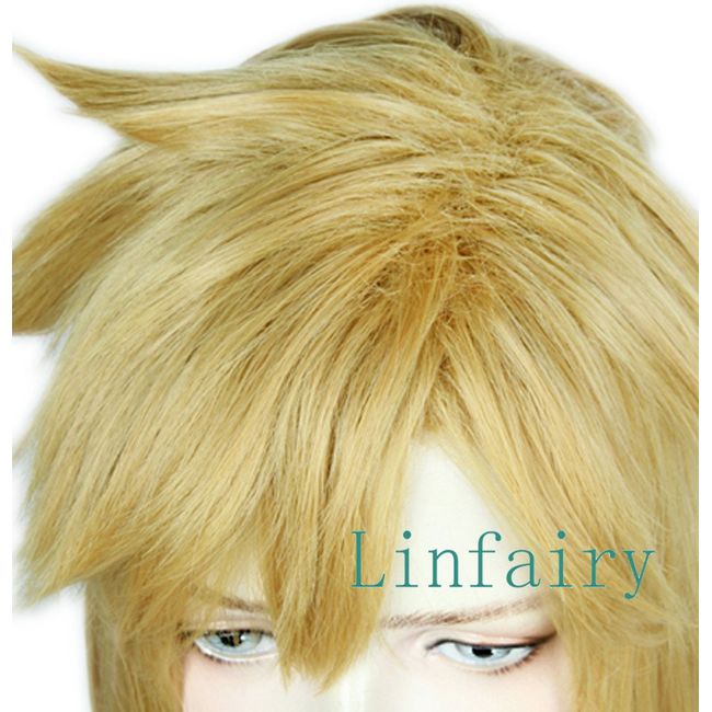 Linfairy Link Cosplay Wig + Elf Ears Heat Resistant Wig Costume Accessory L35 Festival cosplay wig