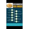 Bladderwrack & Burdock Root Sea Moss Gel 100% Pure  Wildcrafted Irish Moss