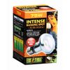 Gex PT2136 8106010 Sunlight Tight Beam 75W
