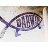 Darwin Fish Car Plaque.
