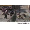 谷中のら猫ラプソディー〜だんだん猫10年の記録〜 [DVD]