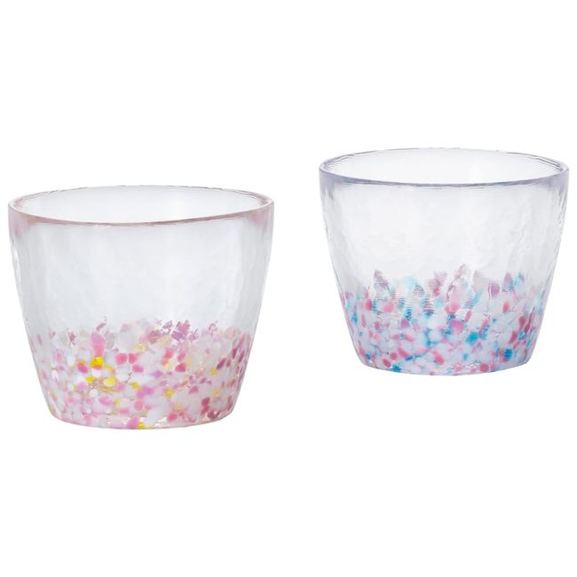 ADERIA FS62508 Sakura Sakura Glass Pair Set, 6.7 fl oz (190 ml), Made in Japan, Highball Cup, Wedding, Celebration, Beer, Stylish, Present, Popular, Ranking Glass, Sake, Birthday, Female Set, Tumbler,