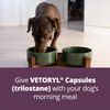 Vetoryl® Capsules (trilostane), 20-mg, 30 Capsules
