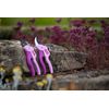 Spear & Jackson CUTTINGSET15 Compact Ratchet & Anvil Secateurs Set, Purple, 16x5x2 cm