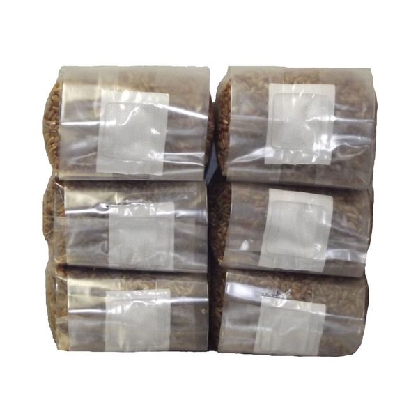 Sterilized Rye Berry Mushroom Substrate (6 pack)