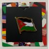 Jordan Flag Single Lapel Pin