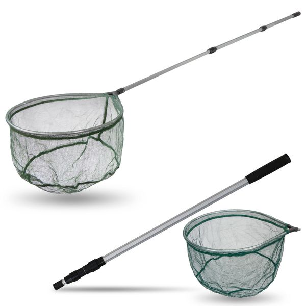 Angel Domäne Kescher Set - Aluminium Kescherstab & Kescherkopf Roach für sicheres Landen von Fischen