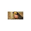 DEWALT Titanium Nitride Coated Drill Bit Set, Pilot Point, 21-Piece (DW1361)