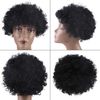 CCINEE Bomber Afro Wig, Explosion Head, Costume, Wig, Costume Accessory, Cosplay, Wig, Costume, Fluffy, Funny, Entertaining Item, Ball, Halloween Party Goods, Unisex (Black)