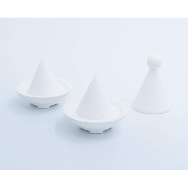 Diatomaceous Earth Good Luck onto Salt Set