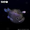 EUGY Water-friendly 3D puzzle (fisherman fish)