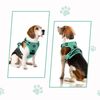 Dog Harness for Small Medium Large Dogs No Pull Adjustable Padded Reflective Harness with Handle for Walking Training