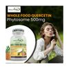 Quercetin 500mg with Bromelain Supplement, Bioactive Phytosome Complex, Pure ...