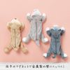 Sunstar Stationery S1425994 Nuimee Bear Plush Pencil Case