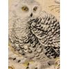 Riolis Cross Stitch Kit - 1241 - White Owl